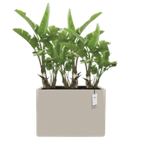 june brick divider 80cm greige